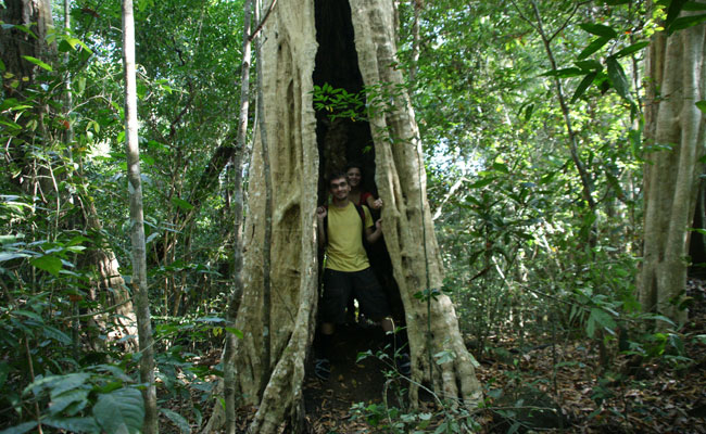 du-lich-vuon-quoc-gia-cat-tien,-tour-cat-tien,-du-lich-sinh-thai