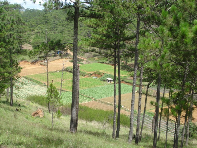 tour da lat, du lich da lat, tour du lich dalat, tour da lat tron goi