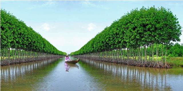 tour du lịch cà mau